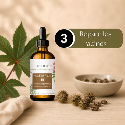 La meilleure huile de ricin bio